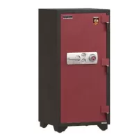 Két sắt chống cháy The One NTKS250K2C1